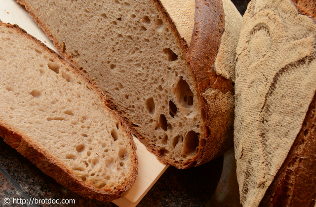 Weizenmischbrot-Alltagsbrot • Brotbackforum - Die Hobbybäckerei