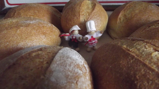 Amaranth Brötchen Backen | thenymphisnotexist
