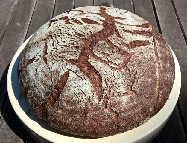 Mein freigeschobenes Roggenmischbrot • Brotbackforum - Die Hobbybäckerei