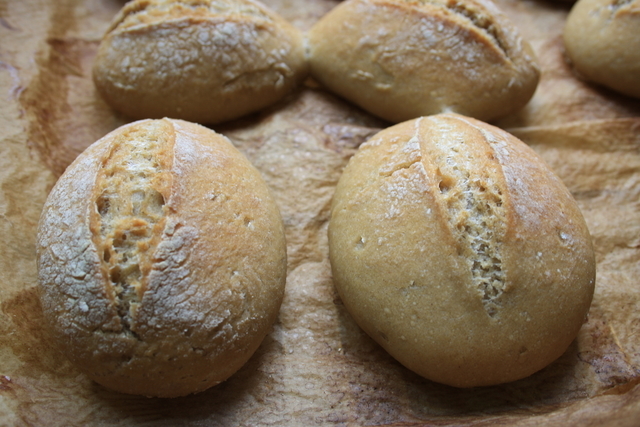 glutenfreie Brötchen • Brotbackforum - Die Hobbybäckerei