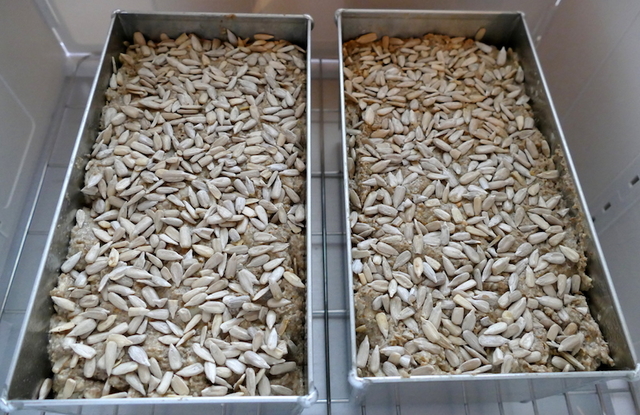 10. Online-Backtreffen 2016, Ostfriesisches Schwarzbrot • Brotbackforum ...