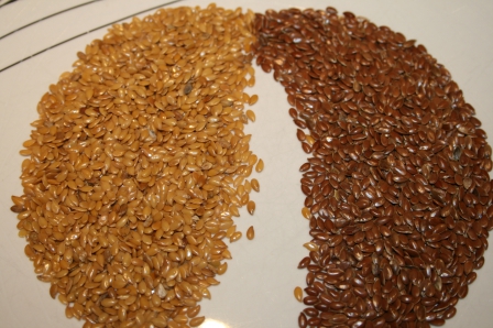 Gold-Leinsamen • Brotbackforum - Die Hobbybäckerei